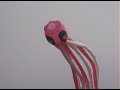 OctopusFest