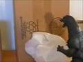 Godzilla Vs Rodan