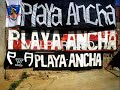 colo colo  garra blanca somos chile