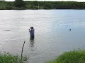 pesca de tilapia