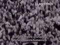 Discursos de Peron y Eva Peron, Independencia y Libertad