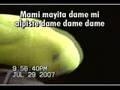 PERIQUITOS POETICOS Y CANTORES