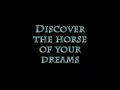 Herradura Andalusian Horses for Sale - Farm Video