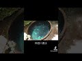 ひたすら湧水を見る動画 #柿田川 #湧水 #清流 #自然 #観光 #日本の風景 #japantravel