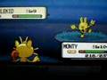 Shiny Elekid (1 of 7) pokeradar chain 40 pokemon pearl