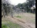 Kawasaki 125 KX!Moto cross!!!