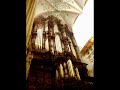 Hertogenbosch: legend of the Gothic organ sound