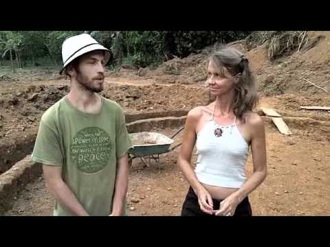 Aquaponics System