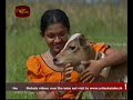 Latha Walpola - 