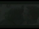 Teledisco Aquele Abra�o