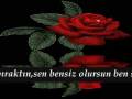 sensizlik ölümden bile zor.wmv