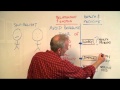 Maunder and Hunter: Attachment and Health - symptoms, worry & healthcare use