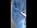 Blood Sucking Leech..MOV