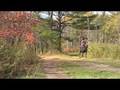 videos de tigger & I