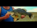 Outlaw Spinnerbaits - Molonglo River ACT