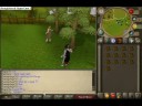 Cutting Yews at Catherby in High Definition.