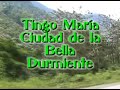 TINGO MARIA