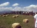videos de Celticue en Carabanzo