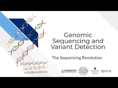 Video thumbnail image for the Sequencing Revolution background video.