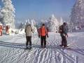 Skiën in Alpendorf
