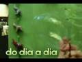 BALÉ DE BOLHAS DE SABÃO E SUA EXISTÊNCIA EFÊMERA, NA ARTE E AMNÉSIA DO DIA A DIA.

Este vídeo foi premiado com MENÇÃO HONROSA de MELHOR VÍDEO NANO MINUTO DO MÊS DE OUTUBRO - 2008 ...