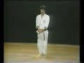 Bassai Dai - Shotokan Karate