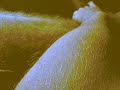 Atônito, Eu. (curta-metragem) Atônito, Eu. (curta-metragem)