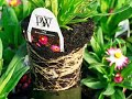Coco Coir Premium Potting Soil Coco Coir Premium Potting Soil