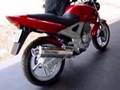 Roncar Coyote RS1 Exhaust