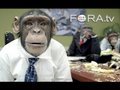 Sexual Aggression and Risk Taking: Are We That Different from Chimps?