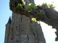 videos de Baby Babel ou pas