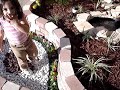 landscaping-asa-arat