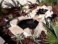 landscaping-asa-arat