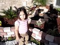 landscaping-asa-arat