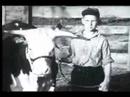 Wilkie & McNary Know Their Farming, 1940 Wilkie & McNary Know Their Farming, 1940