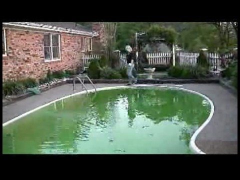 how to eliminate algae from a pool