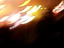 Those Nights- Skillet (live) Those Nights- Skillet (live)