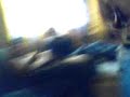 La pda de Geri jaja 2 La pda de Geri jaja 2