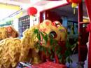 CNY  08 Lion dance