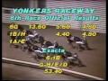 1984 Lawrence B. Sheppard Pace - Yonkers Raceway