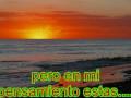 clip video Misia Te Extra�o