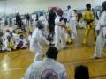 team elite