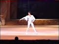 Raymonda Jean de Brienne (variation) Nikolai Tsiskaridze Raymonda Jean de Brienne (variation) Nikolai Tsiskaridze