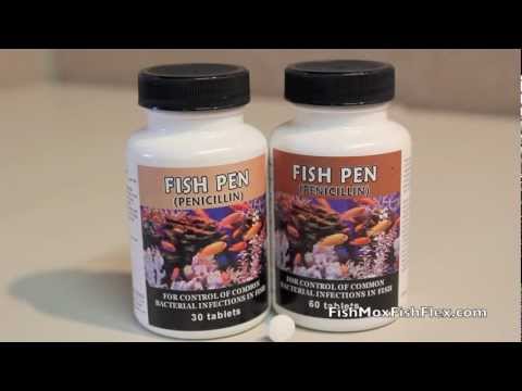 Fish Pen Penicillin 250 mg Fish Antibiotic