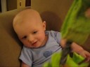 Riley Jack, 4 months old Riley Jack, 4 months old