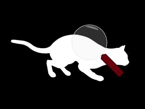 how to control feral cats