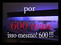 vídeo anúncio da venda de um aquário de 150cm X 45cm de altura X 30 cm de profundidade + 1 casal de discus e 1 discu turquesa...tudo isso mais alguns acessórios por apenas 600 reais!Isso mesmo!600 reais!somente para o estado do rio de janeiro!Motivo, mudança de estado. 