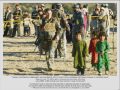 Contribuţia NATO la promovarea Libertăţii şi Securităţii în lume