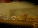 Mouse Excercise