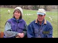 Raised on Grass: Pasture Fed Animals
